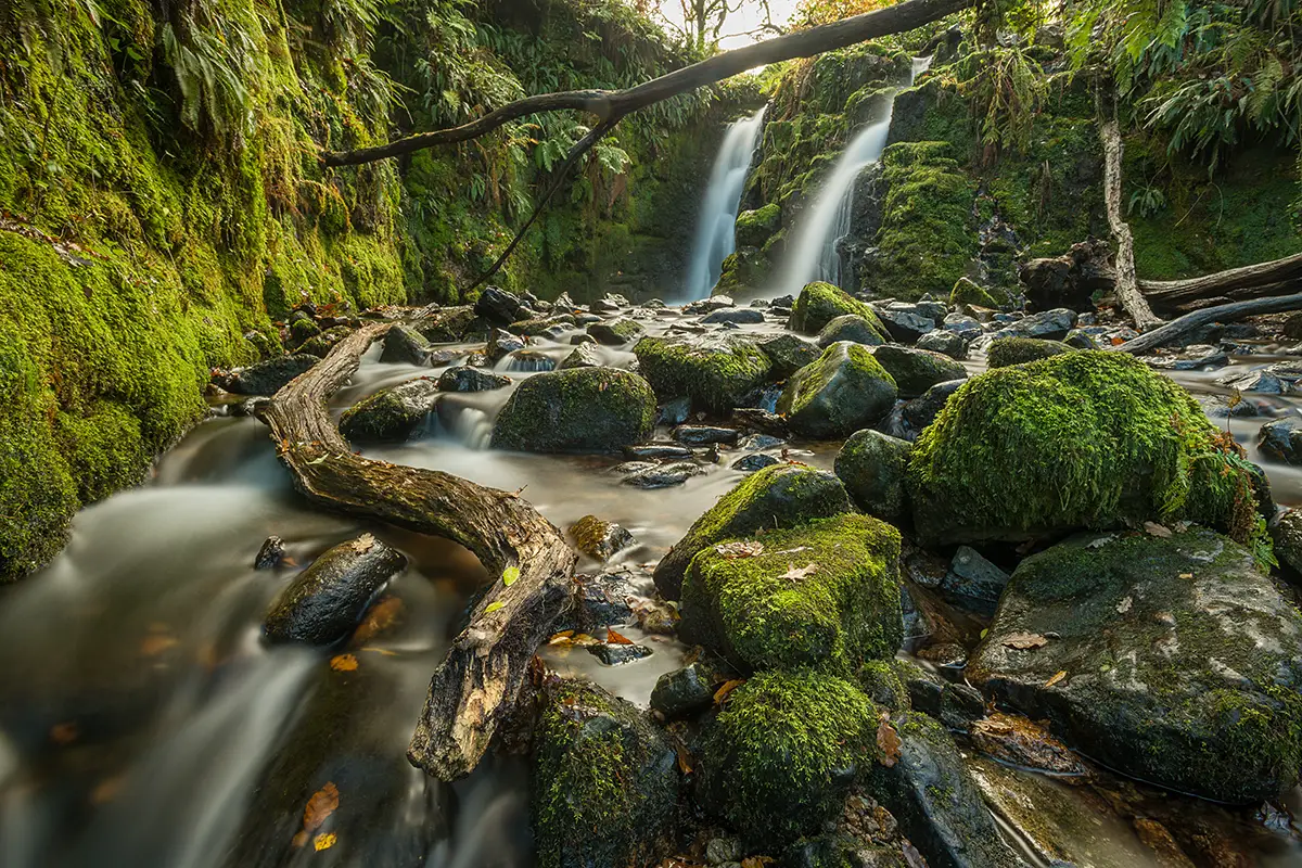 West Country photography courses with Steve Davey