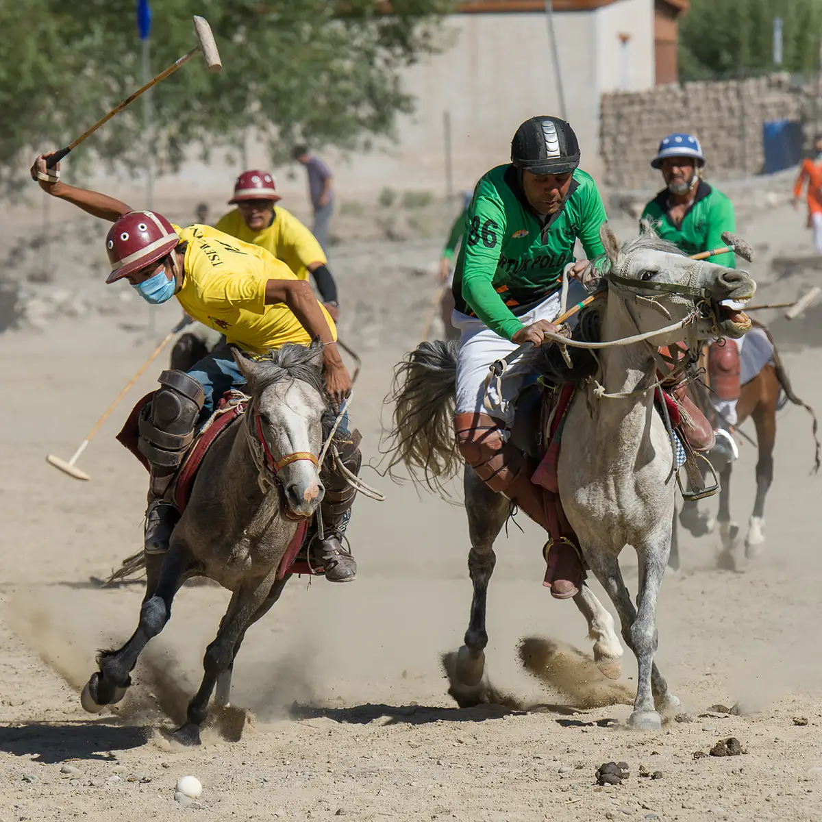 Leh polo festival ladakh photo tour