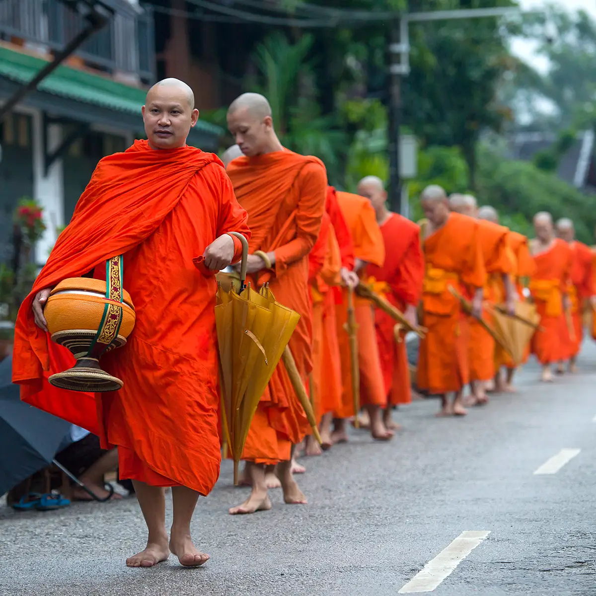 Laos photo tour luang prabang monks alms