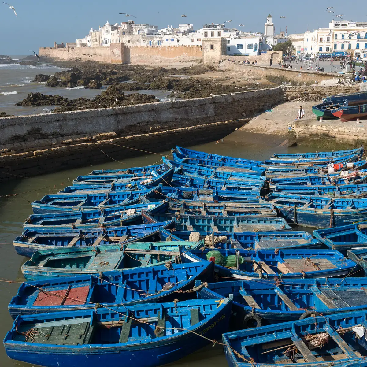Morocco photo tour essaouira harbour