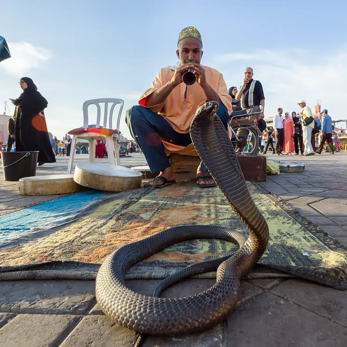 Morocco photo tour Marrakech snake-charmer