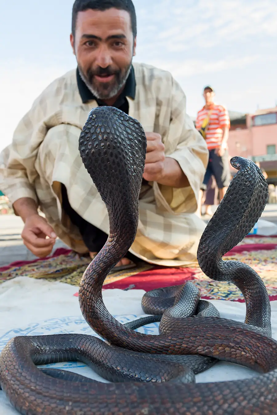 Photographing Snake Charmers in Marrakech