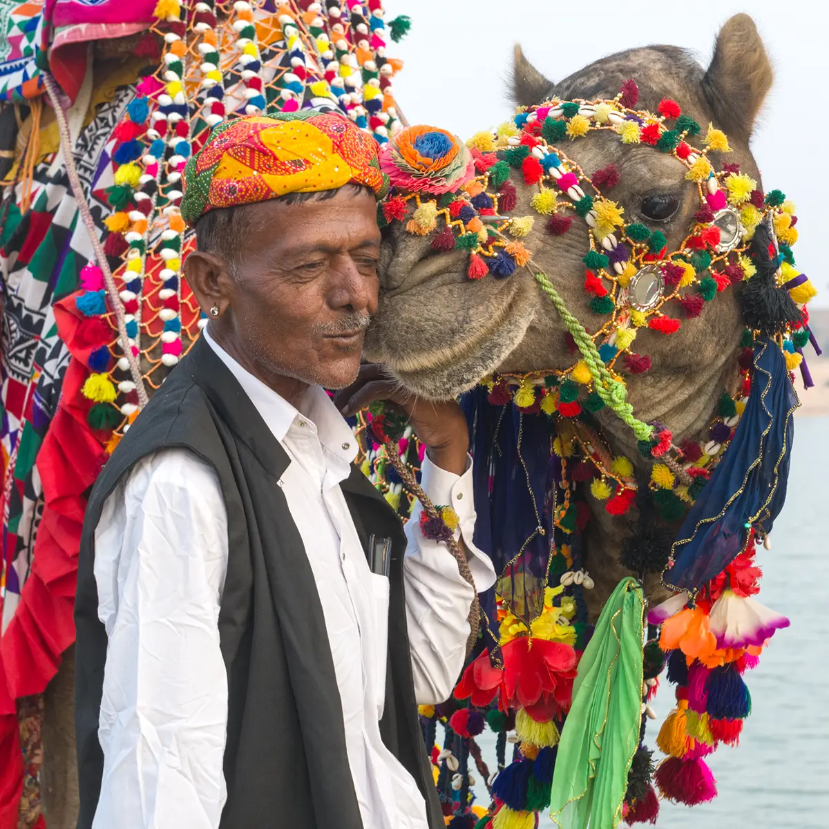Decorated-camal-jaisalmer-rajasthan-photography-tour