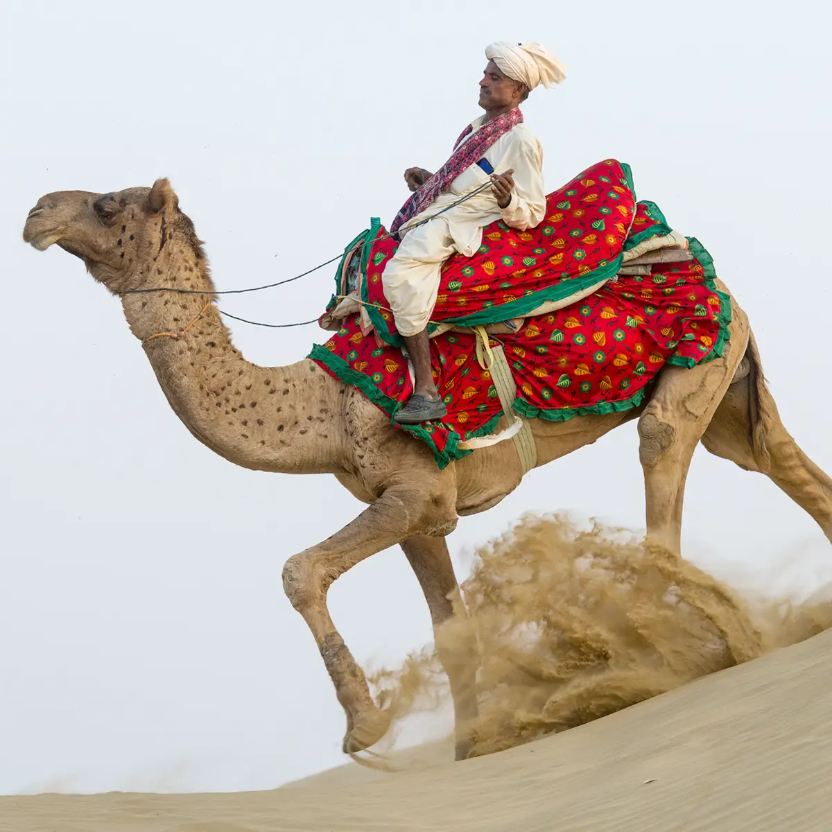 Jaisalmer-Rajasthan-Photo-tour-desert-camel