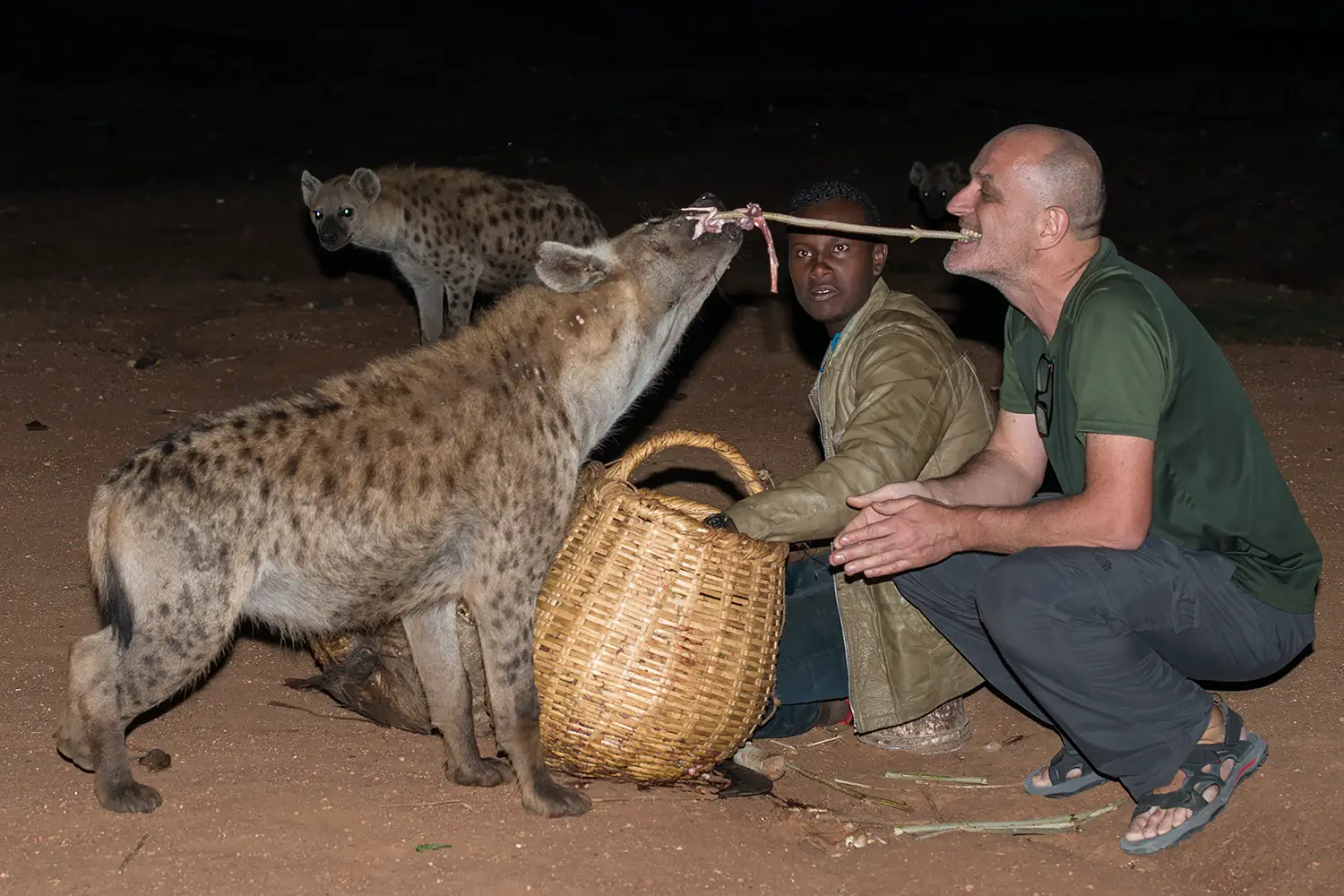 Steve Davey photographer feeding hyena Harar Ethiopia
